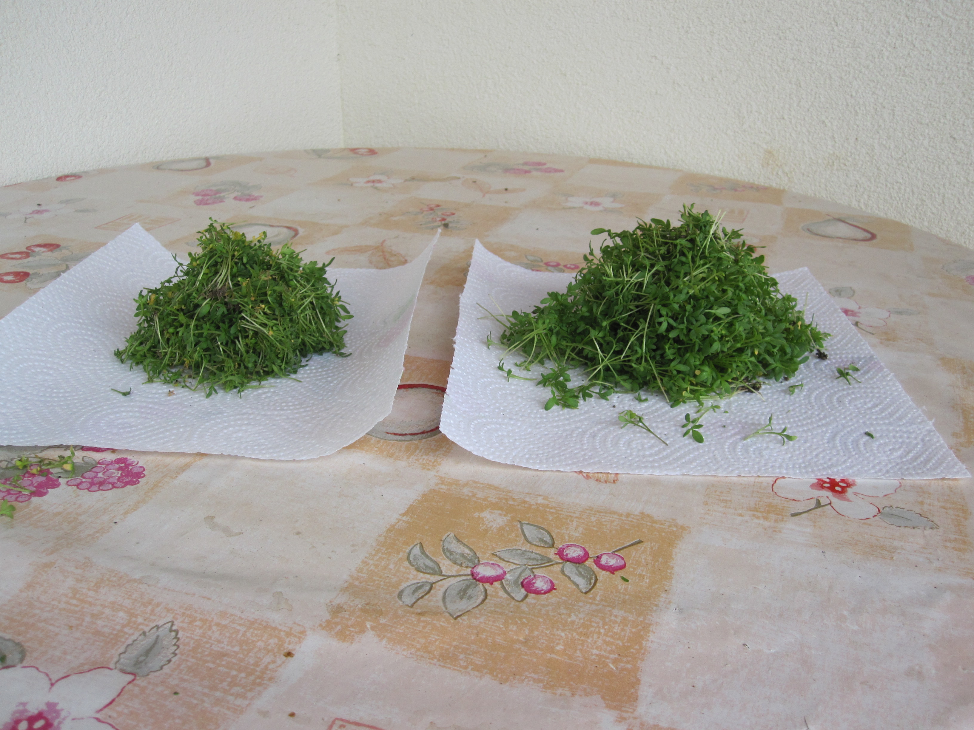 Kresse 