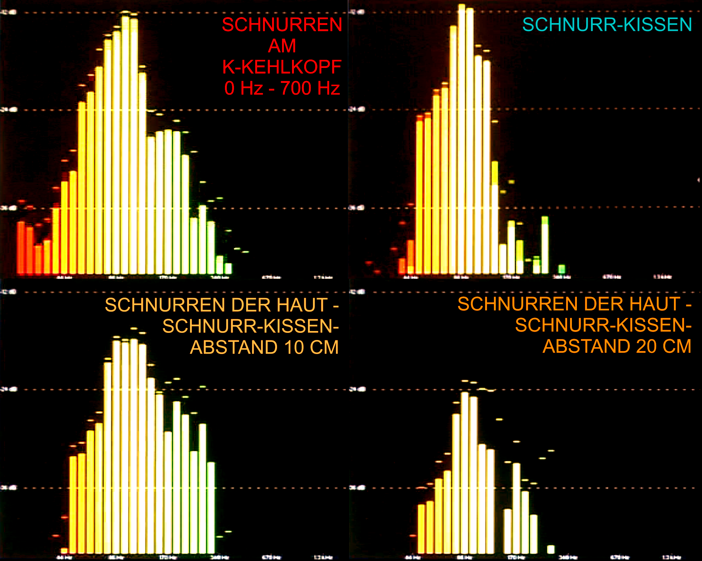 Studie 2D Vibrations Frequenzanalyse